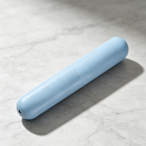 Single PP Toothbrush Travel Case Holder